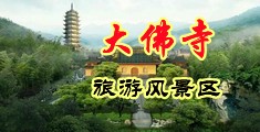 双洞大逼大鸡巴操中国浙江-新昌大佛寺旅游风景区